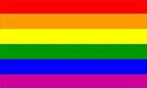 U24 Aufkleber Regenbogen Flagge Fahne 12 x 8 cm Autoaufkleber Sticker