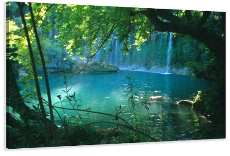 Visario Bild Leinwand Bäume Marke Nr 4164 80 x 60 cm Leinwand Bild Wanddeko hochwertig Wohnzimmer Büro Druck