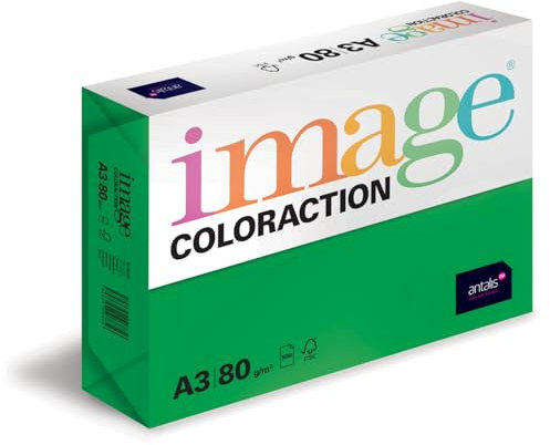 Image Coloraction Dublin - farbiges Kopierpapier - DIN A3, 297 x 420 mm, 80 g/m² - buntes, holzfreies Druckerpapier für Kopierer - 500 Blatt - Dunkelgrün