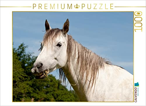 CALVENDO Puzzle EIN Motiv aus dem Kalender Lustiger Schimmel - EIN Pferd mit Humor 1000 Teile Puzzle quer | Lege-Größe cm Foto-Puzzle für glückliche Stunden