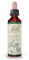 FLEURS DE BACH ORIGINAL - Walnut No 33 - Pour plus d'adaptabilité - Aide à mieux vivre les changements de vie - Élixir floral naturel pour le bien-être émotionnel - Compte-Gouttes 20ml - Vegan