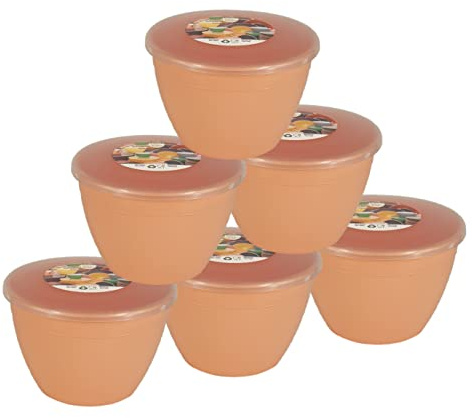 Just Pudding Basins Pastel Colours Peach 1 Pint Basin and Clear Lid Pack of 6 Plastic Pudding Steaming Bowls