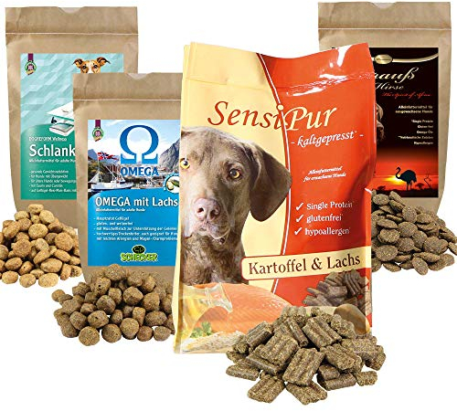 Trockenfutter Testpaket ausgewachsene Hunde 4 Sorten von besten Hundefutter