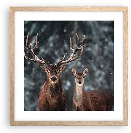 Poster Rahmen helle Eiche Hirsch Rentier Reh Deko 40x40cm Wandposter Art Prints Wandbilder Dekoration Wohnzimmer Schlafzimmer Küche Wanddeko Bild Wand Kunstdruck Modern Wall Art Decor P2NAC40x40-5060