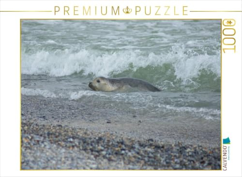 CALVENDO Puzzle Robbe im Meer | 1000 Teile Lege-Größe 64 x 48 cm Foto-Puzzle für glückliche Stunden