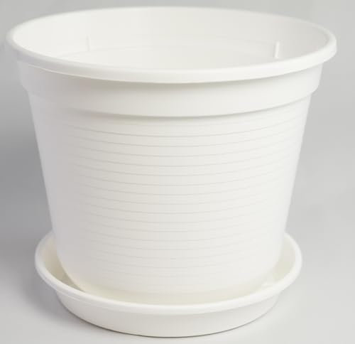 Geli Pot de Fleurs Standard avec Soucoupe Tailles et Couleurs 24 cm weiß