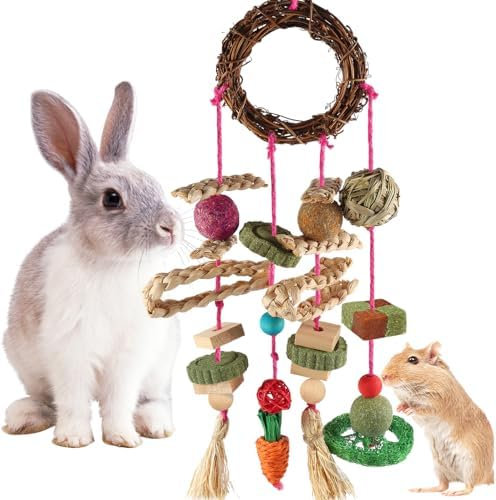 YIXUND Kauspielzeug für Häschen, Kaninchenspielzeug für die Zähne, Timothy-Gras-Spielzeug für Meerschweinchen, Hamster, Chinchillas, Ratten und andere Nagetier-Spielzeugsets
