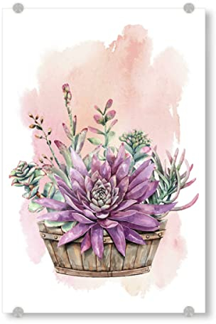 artboxONE Acrylglasbild 150x100 cm Natur Sukkulenten im Bottich Bild hinter Acrylglas - Bild bottich blühen bottich