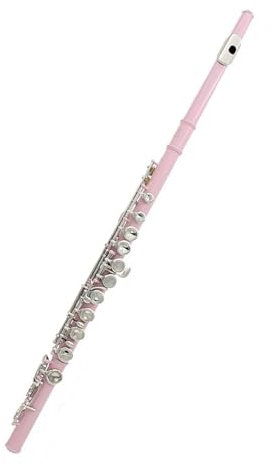 Querflöte 16-Loch-Flöte C-Tonart Farbflöte E-Tonart Anfänger Erwachsener Professionelles Spielinstrument Flöte(Pink)