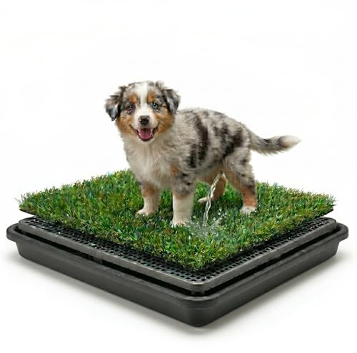 Hundetoilette mit Kunstrasen & Auffangschale 50x40cm – 3-lagiges Welpen-WC für Indoor & Outdoor – Wiederverwendbare Hundegrasmatte für Toilettentraining, Balkon & Wohnung – Leicht zu Reinigen