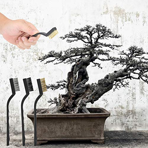 Mumusuki Juego de cepillos de Alambre de 3 Piezas Mini Cepillo de Alambre con Mango de plástico para Limpiar la Herramienta de Limpieza de jardín de Cepillo de bonsái de Tronco de árbol