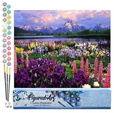 Figured'Art Peinture par Numéro Adulte Fleurs et Lac au pied de la Montagne - Activité Manuelle Kit de Loisir Créatif DIY Numéro d'art Complet - 40x50cm sans châssis en Bois