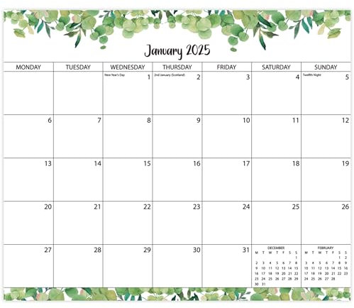 Magnetischer Kühlschrankkalender 2025, magnetischer Kalender für Kühlschrank von Januar 2025 bis Juni 2026, 18-monatiger Kühlschrankkalender UK, Tracking Veranstaltungen und Termine, Abreißseiten,