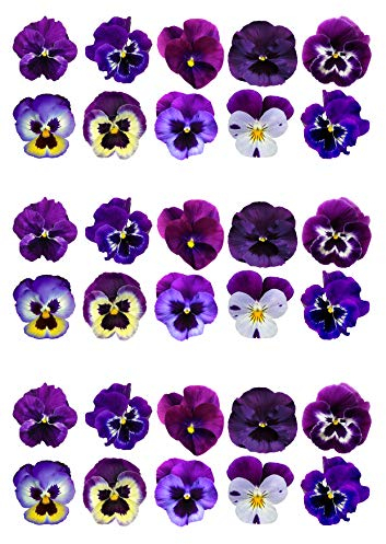 Orange Trading Dartmouth Ltd 30 Purple Lilac Pansy Pansies Flower Edible Wafer Paper Cake Toppers Decorations