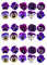 Orange Trading Dartmouth Ltd 30 Purple Lilac Pansy Pansies Flower Edible Wafer Paper Cake Toppers Decorations