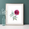 Din A4 Kunstdruck - ungerahmt - Pfingstrose Blume Blüte Peony Aquarell Romantik Landhaus Stil Pink Druck Poster Bild