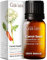 Gya Labs Carrot Seed Essential Oil (10ml) - Earthy, Woodsy Scent