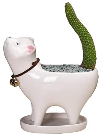 Yolluu Maceta, Maceta de Cola de Gato, Maceta de cerámica para Interiores, 5.3 x 4.72 x 3.94 Pulgadas, Color Blanco, Agujero de Drenaje, para Plantas, decoración del hogar y la Oficina