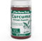 Curcuma 340 mg Extrakt Kapseln 90 Stk. - Für eine gesunde Verdauung