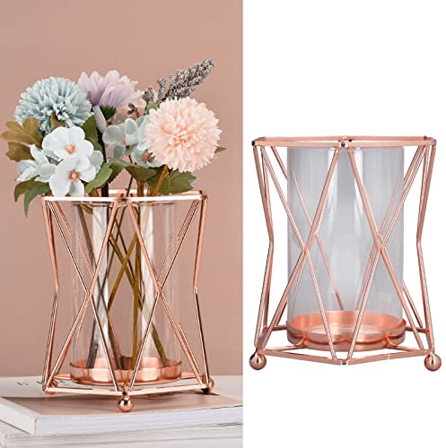 Belupai Vase à Plantes avec Support en Fer Forgé or Rose, Vase à Fleurs en Verre Transparent, Vase à Plantes Hydroponiques, Jardinière de Table, Terrariums, Tube à Essai, Vase à Bourgeons de Fleurs Po