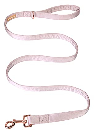 Unique style paws Seiden-Hundeleine Strapazierfähige Hundeleinen mit geschweißtem D-Ring Komfortabler Griff für kleine mittelgroße Hunde Z-Prinzessin