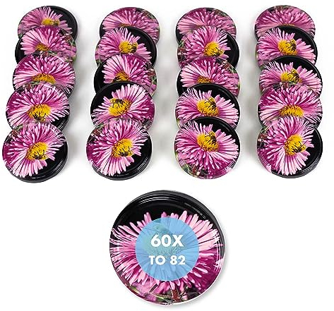 60 Stück Ersatzdeckel TO 82 I Mehrfarbige Twist-Off-Deckel 82 mm I für Gläser zur Aufbewahrung von Bevorratung,Deckel für Einmachgläser. Marmeladegläser, Honiggläser, Feinkostgläser