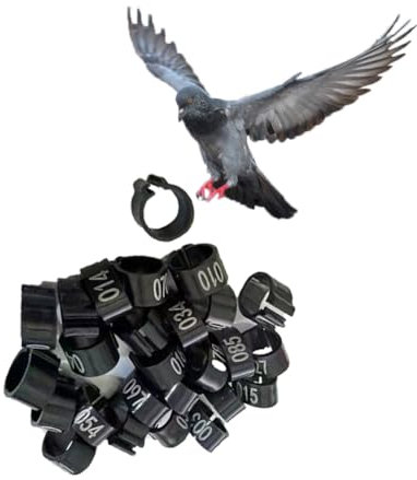 GeRRiT 10 mm 001-100/001-200/001-300/001-400/001-500 Nr. Kunststoff-Vogelbein-Bandring, Henne, Taubenbein, Geflügel, Taube, Vogel, Küken, Papagei, Clip-Ring-Band 001-300 Schwarz