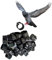 GeRRiT 10 mm 001-100/001-200/001-300/001-400/001-500 Nr. Kunststoff-Vogelbein-Bandring, Henne, Taubenbein, Geflügel, Taube, Vogel, Küken, Papagei, Clip-Ring-Band 001-300 Schwarz