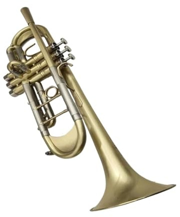 Professional Trumpet Professionelle Verkupferte Trompete In C Mit Koffer