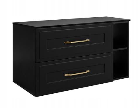 Rodan Moderne Möbel - Schrank Schwarz - Möbelstück - Bastelregal – Bastelplatte 100,6 x 58,6 x 46 cm