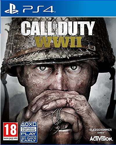 PS4 Call of Duty: WWII ENG/FR