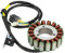 VIPIH Lichtmaschine Stator Passend für TGB ATV Blade 250 325 Target 325 2007-2014 923706