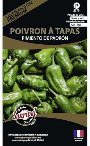 Graines potagères Premium poivron Padron spécial Tapas