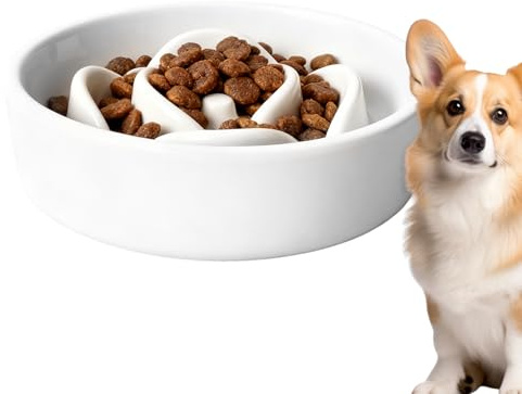 Nuyhadds Gamelle à alimentation lente pour chien – Jeu d'alimentation interactif | Mangeoire lente pour chien – Pour chiot, chaton, salon quotidien, intérieur ou extérieur