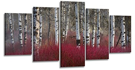 Visario Bild & Kunstdruck der Deutschen Marke 200 x 100 cm ArtNr 6335 Bilder auf Leinwand Kunstdrucke Wald Birken rot Wandbild fünfteilig