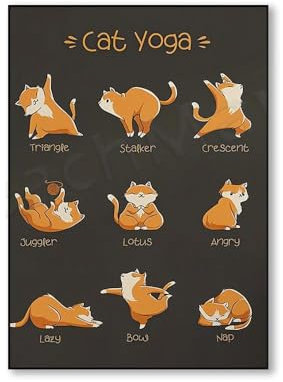 Katze Yoga Leinwand Lustige Yoga Zitat Leinwand Yoga Poster Und Drucke Wand Kunst Bild Geburtstag Leinwand Malerei Wand Dekor 50Cmx70Cm Kein Rahmen