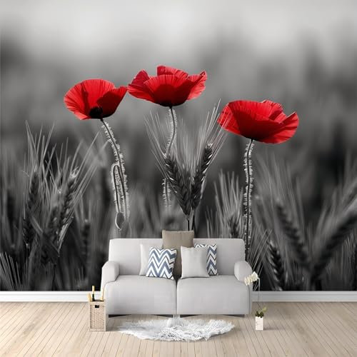 photo murale papier peint 400 x 280 cm décoration intissé tableaux poster muraux tapisserie Planter du coquelicot panoramique chambre paysage déco salon maison décorative tenture appartement