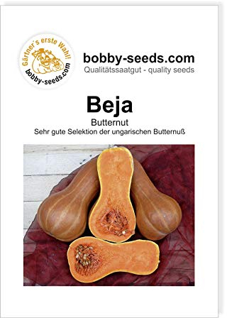 Beja Kürbissamen von Bobby-Seeds Portion