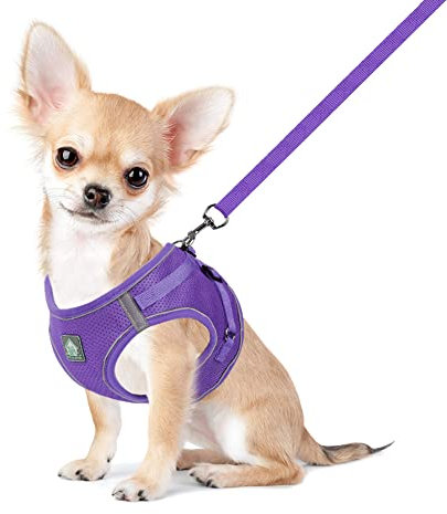 FEimaX Hundegeschirr mit Leine für Kleine Mittele Hunde Katzen Weich Mesh Welpengeschirr Atmungsaktive Brustgeschirr Verstellbare Reflektierend No Pull Weste Chihuahua Katze