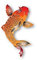Akachafactory Aufkleber, Vinyl, Koi-Karpfen, Japan, japanischer Fisch r2