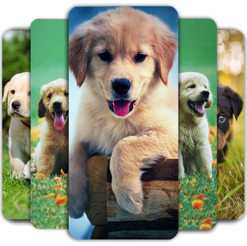 Puppy Wallpaper - Cute Puppies