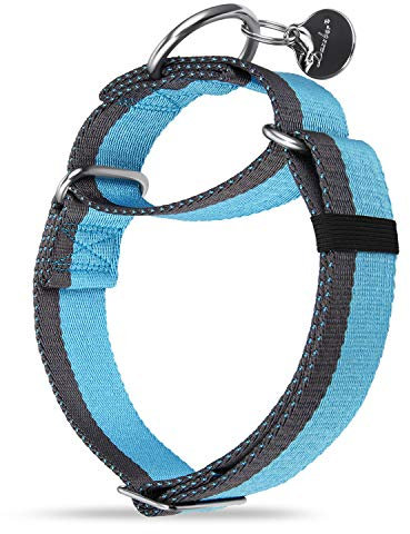 Dazzber Martingal Halsbänder für Mittel/Große Hunde 4cm Breites, Extra Starkes, Verstellbar, Hohe Farbechtheit- Nylon 2 Farbe Gestreift Weit Hundehalsband (Babyblau & Grau, Mittel, 4cm Breit)