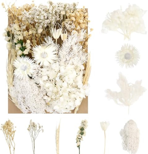 Sularpek Fleurs Séchées, Bouquet Fleurs Séchées, Fleur Sechees Naturel, Fleurs Seches Decoratif Bouquet, pour Scrapbooking et Bougie Bricolage Fabrication de Cartes Art Maquillage Décoration