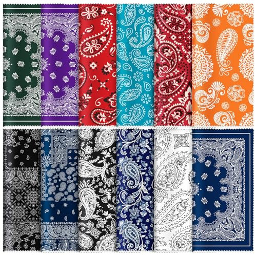 Copkim Lot de 24 chiffons de nettoyage en microfibre réutilisables pour lunettes et lunettes - Motif cachemire élégant - Multicolore - 15,2 x 15,2 cm
