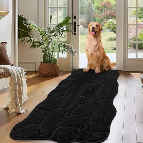 Biscpro Fußmatte Innen Weicher 60 x 150 cm, Türmatte rutschfeste Waschbar Fussmatte, Schmutzfangmatte,Läufer Teppich für Hund, Eingang, Flur, Küchen, Korridor