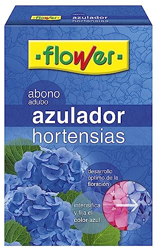 Flower 40570
