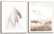 REINDERS Bilder Set, Seegras, Schlafzimmer, Poster, Wanddeko, Room Decor, MDF, Beige, 2-er Set