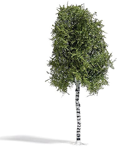 Busch 3782 Baum Birke 170mm 1St.