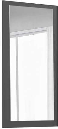mokebo Schranktür mit Spiegel in Schwarz 'Die Verspiegelte', nur für Kleiderschrank 'Der Grenzenlose' in 60cm Breite, Tür für Drehtürenschrank oder Schlafzimmerschrank, 56cm/112cm/1,5cm (B/H/T)