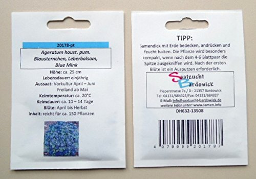 Blausternchen Leberbalsam Blue Mink Bodendecker Samen Saatgut für ca. 150 Pfl. Balkonpflanze Rabattenpflanze